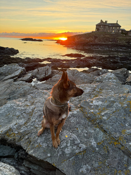 Where Renewal Really Begins